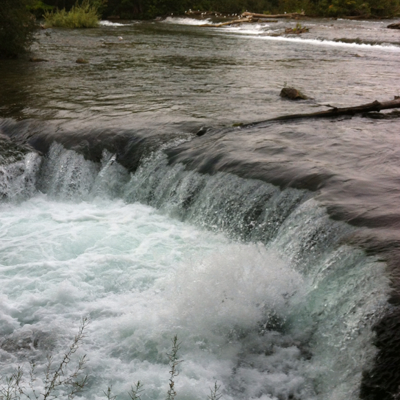 Profile Picture of Kimberly Symonds (@kpsymonds) on Poshmark