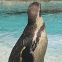 Profile Picture of Jazmin Poole (@jazmin-poole-3) on Quora