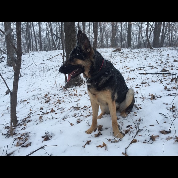 Profile Picture of Rita Rassbach (@rr31415) on Poshmark