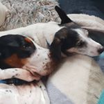 Profile Picture of Hazel Simpson (@hazel.simpson) on Instagram