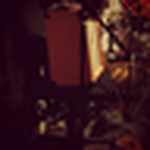 Profile Picture of Satsuma Elephants (@satsumaelephants) on Flickr