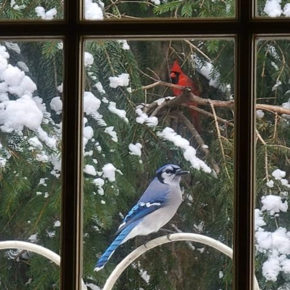 Profile Picture of Phyllis Toms (@phyllistoms11) on Poshmark