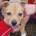 Profile Picture of Tim Fleming (@tim.fleming.12532) on Instagram