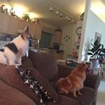 Profile Picture of Scott Stransky (@scottgstra) on Instagram