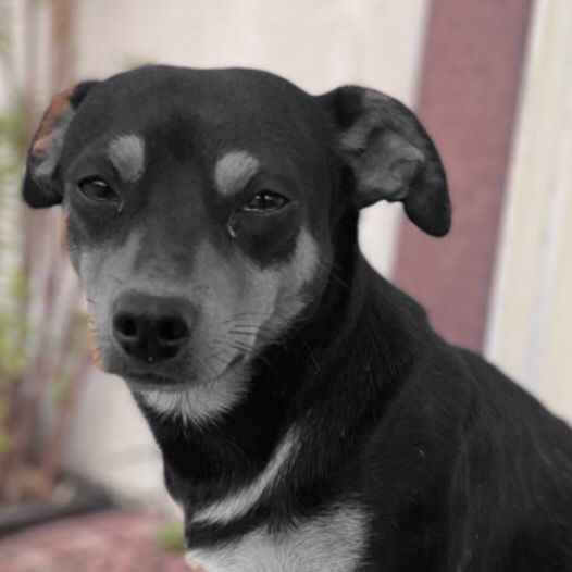 Profile Picture of Abraham Sanchez (@abraham.sanchez15) on Tiktok