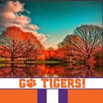 Profile Picture of Rusty Garrett (@rustyngarrett) on Instagram