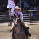 Profile Picture of Lisa Borick (@lisaborick) on Instagram