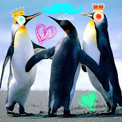 Profile Picture of Ava Arnold (@avaarnold9241) on Youtube