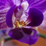 Profile Picture of Alexander Hodder (@alexanderhodder) on Instagram