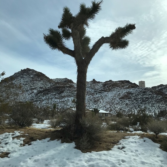 Profile Picture of Ashlee Olcott (@aolcott23) on Poshmark