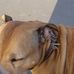 Profile Picture of Jayson Thomas (@jayson.thomas.1447) on Facebook
