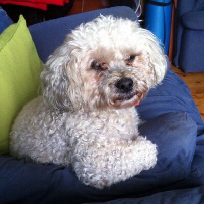 Profile Picture of Glenn Kirby (@glennkirby75) on Twitter