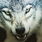 Profile Picture of René Daniel Michalecz (@rdm.insta) on Instagram