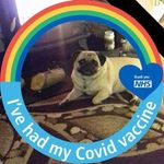 Profile Picture of Noel Walsh (@noel.walsh3) on Instagram