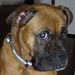 Profile Picture of Sari Jill Schneider (@sarijill) on Pinterest