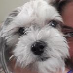 Profile Picture of carla marchiori (@carla.march26) on Instagram