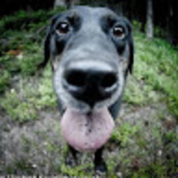 Profile Picture of James Cryan (@jpcryan) on Poshmark