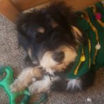 Profile Picture of Chuck Van Ert (@chuckvanert) on Instagram