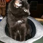 Profile Picture of Micah James Cutter (@micahcutter) on Instagram