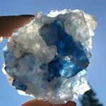 Profile Picture of Marc Copeland (@milocopeland8982) on Instagram