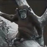 Profile Picture of James Fothergill (@fothergill_james) on Instagram