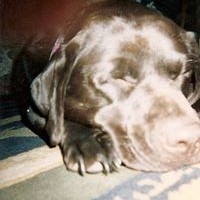 Ginger Shaffer - Quora Profile Picture of Ginger Shaffer (@ginger-shaffer) on Quora