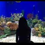 Profile Picture of Lisa Ferrera (@lisa_.ferrera) on Instagram