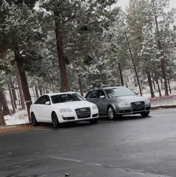 Miles Scalley - Poshmark Profile Picture of Miles Scalley (@mousz) on Poshmark