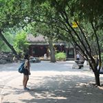 Profile Picture of L F Ching (@mandyching1319) on Instagram