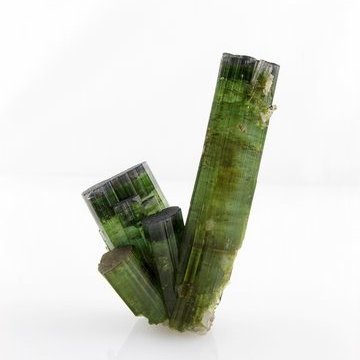 Profile Picture of Marc Fleischer (@FleischerMuseum) on Twitter