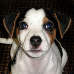 Profile Picture of Paul Roberts (@paulrob86) on Flickr