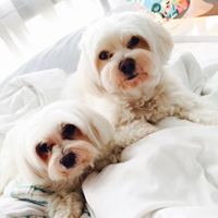 Profile Picture of Danielle Tay (@danielle-tay-5) on Quora