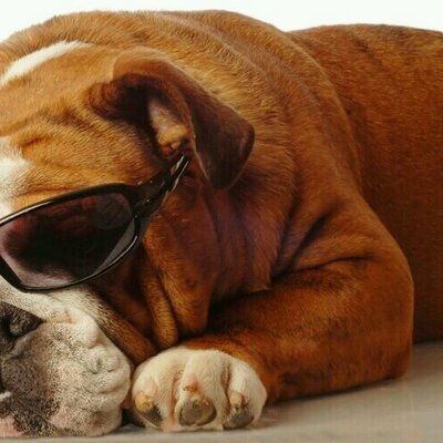 Profile Picture of James Medlock (@JamesMedlock6) on Twitter