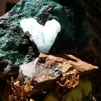 Profile Picture of Monika Chavez (@monika-chavez-5) on Quora