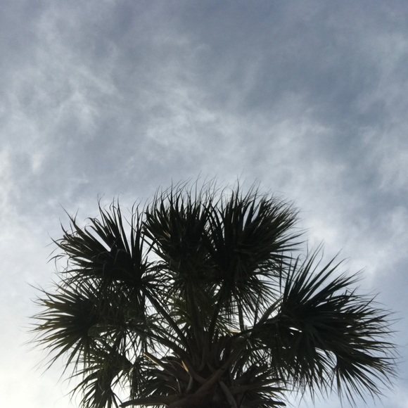 Profile Picture of Cassidy Carballo (@cassidycarballo) on Poshmark