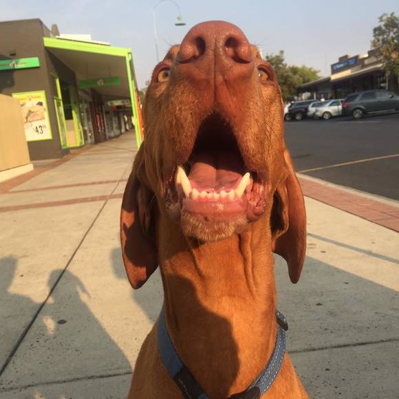 Profile Picture of Kate Moncrieff (@kate_moncrieff) on Poshmark