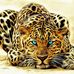 Profile Picture of Daniel Baffoe (@daniel.baffoe.311) on Facebook