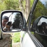 Profile Picture of Joe (@joeliscano) on Instagram