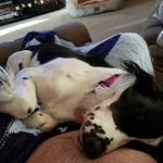 Profile Picture of Jeremy Strauss (@swingmanbuyselltrade) on Instagram