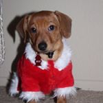 Profile Picture of Milo Sanchez (@milosanchez1) on Instagram