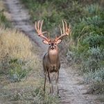 Profile Picture of Jason Gruver (@countrybassin34) on Instagram