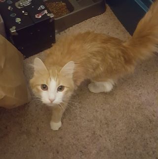 Profile Picture of Kiley Jensen (@kiley.jensen.923) on Facebook