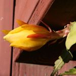 Profile Picture of Richard Hsiao (@hong91792) on Instagram