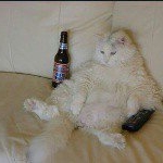 Profile Picture of Kevin Krizsak (@kevin.krizsak2004.kk) on Instagram