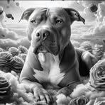 Profile Picture of Paul Horstmann (@Paul-Horstmann) on Facebook