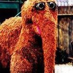 Robert Thoelen - Instagram Profile Picture of Robert Thoelen (@shmget) on Instagram