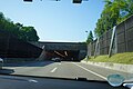 Profile Picture of Bubenholz Tunnelon Wikipedia