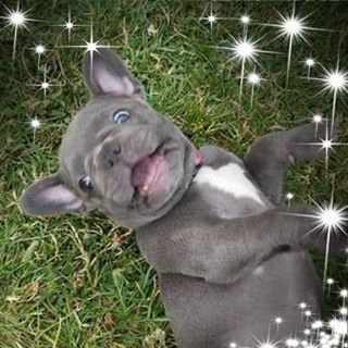 Profile Picture of Jacqueline Mcclure (@Jacqueline-Mcclure) on Facebook