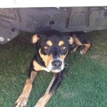 Profile Picture of Jared Hungerford (@hungerford31) on Instagram