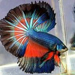 Profile Picture of Sean Vincent (@vincent.sean) on Instagram